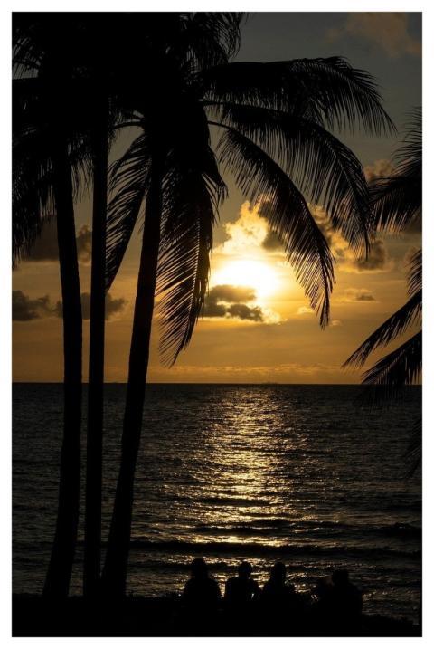 Beach Sunset Shades Nature