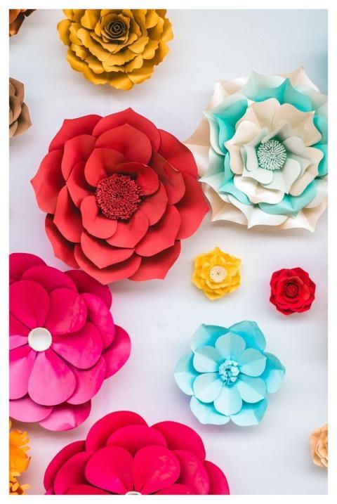 Flowers Flower Background Nature Paper