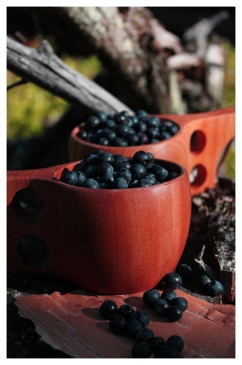 Fruit Fresh Berries Blueberries