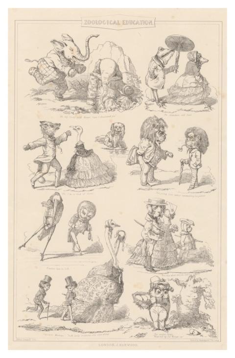 Zoological Education