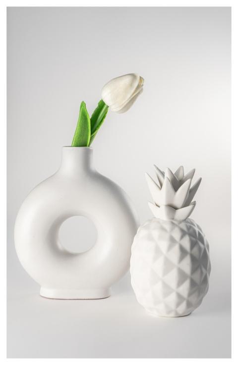 Pineapple Fruit Flower Nature