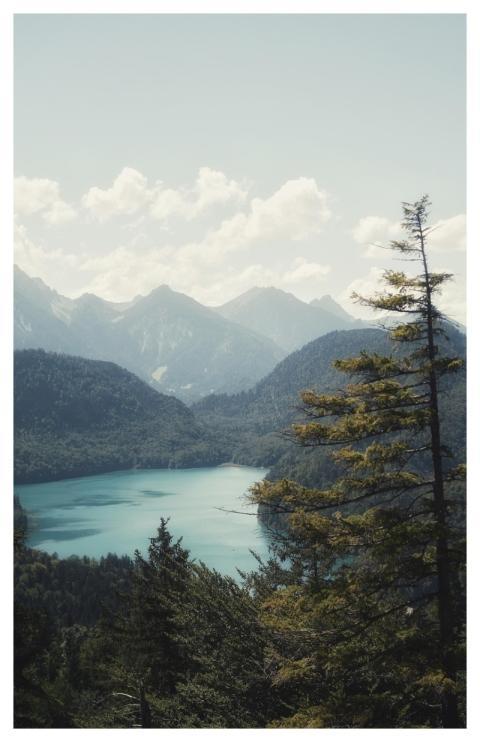 Landscape Mountains Nature Forest