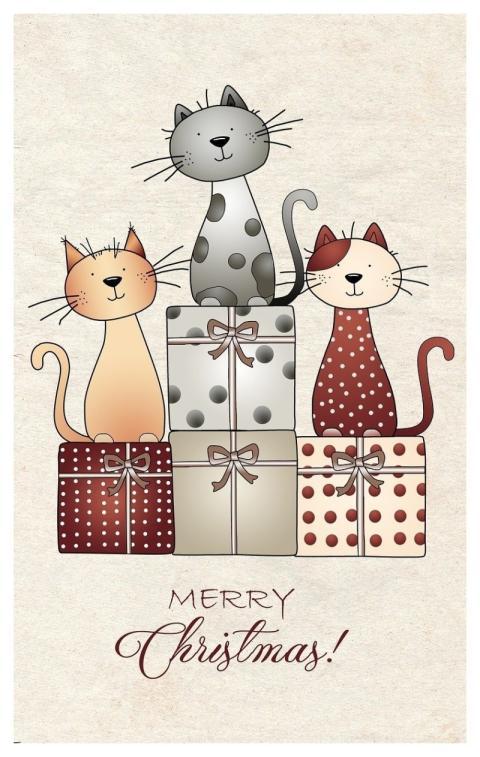 Cats Gifts Christmas Motif Christmas
