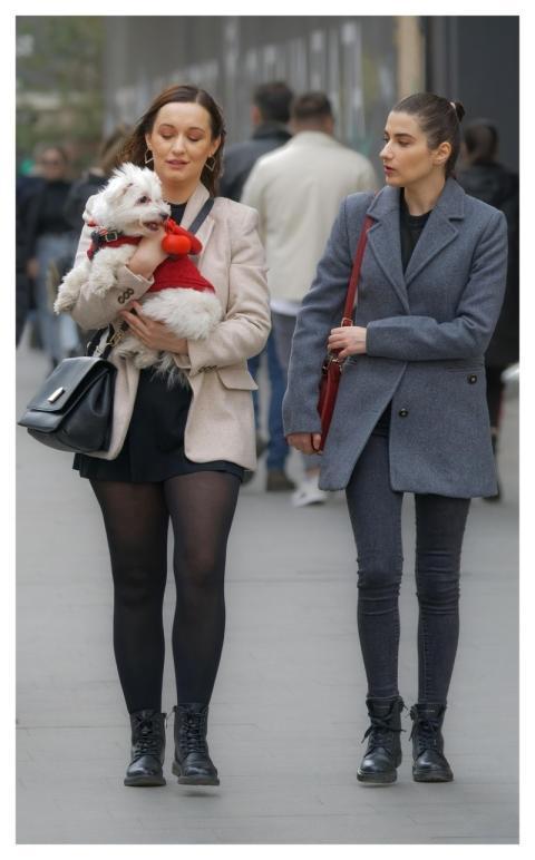 Ladies Casual Dog Pet