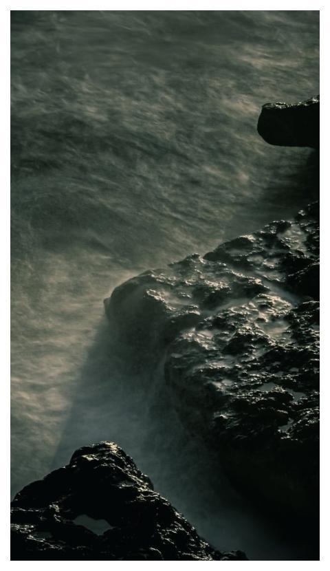 Sea Nature Water Jellyfish