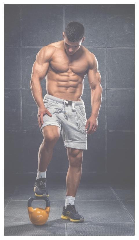 Gym Fitness Exercise Workout