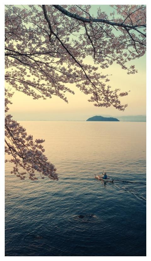 Landscape Lake Lake Biwa Island