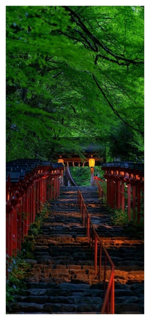 Stairs Path Trees Nature