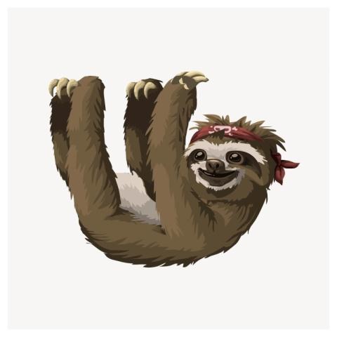 Sloth clipart, animal illustration