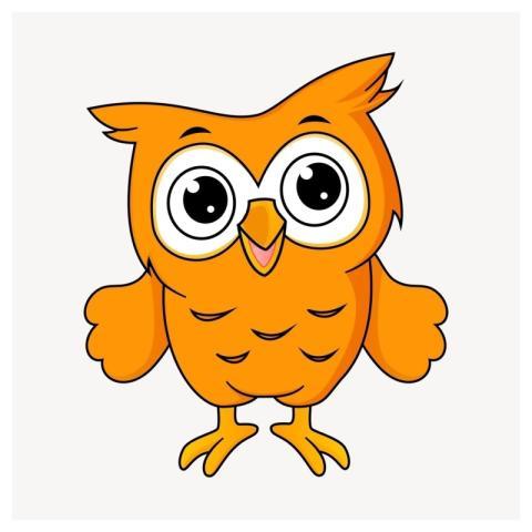 Cute owl clipart, animal cartoon