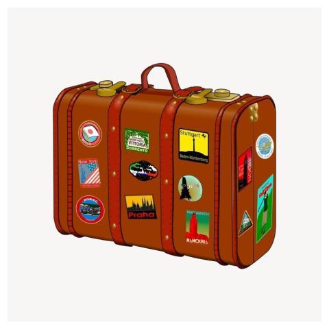 Vintage luggage clipart, travel illustration