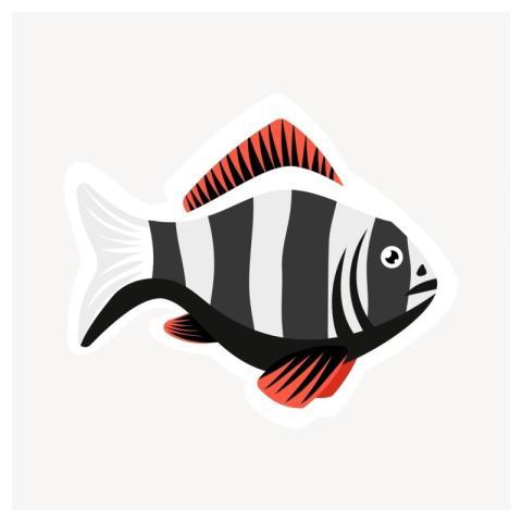 Fish clipart, animal illustration vector