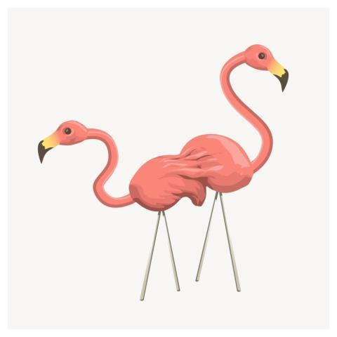 Flamingos clipart, animal illustration