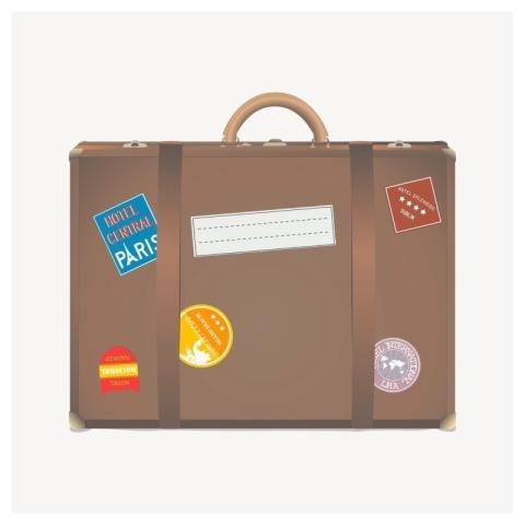 Vintage luggage clipart, travel illustration