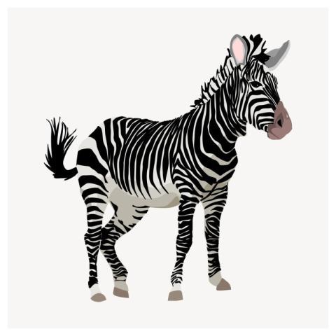 Zebra zoo animal clipart, illustration