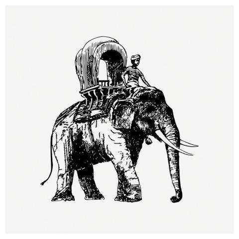 Elephant ride drawing, animal carriage