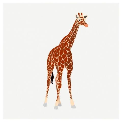 Giraffe animal clipart, collage element