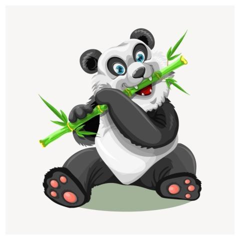 Cartoon panda clipart, animal illustration