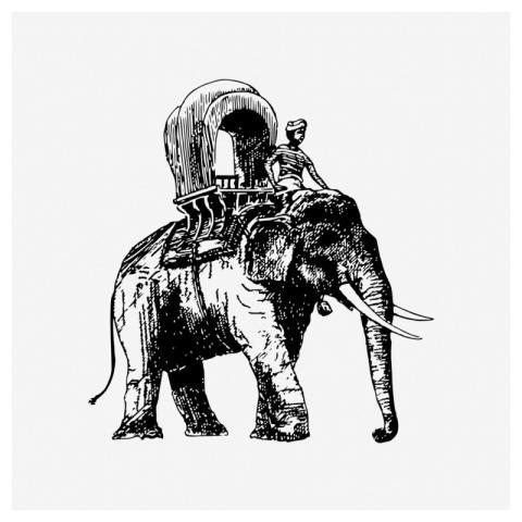 Elephant ride drawing, animal carriage