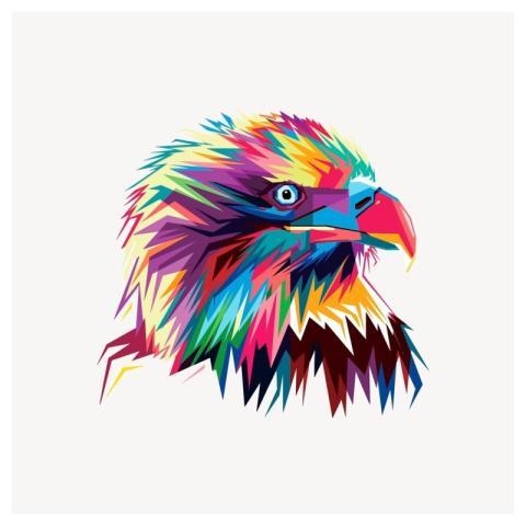 Colorful eagle clipart, animal illustration