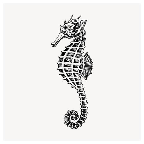 Seahorse underwater animal clipart, vintage