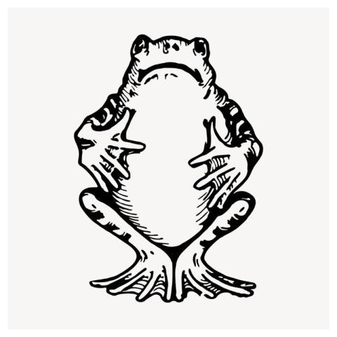 Frog animal clipart, vintage hand