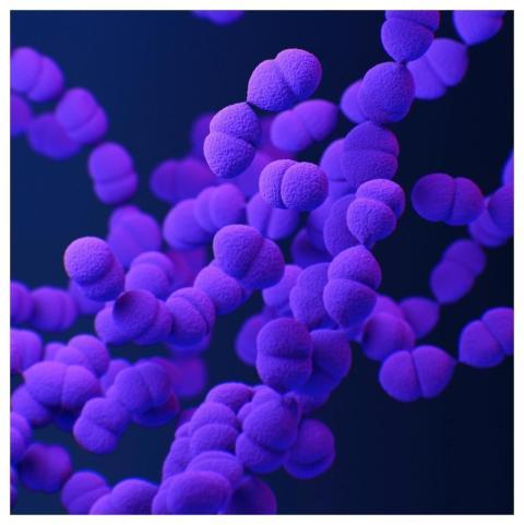 A medical illustration of drug&ndash;resistant, St