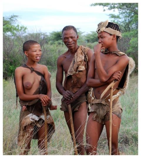 Bushman Indigenous People Hunter Gatherer San