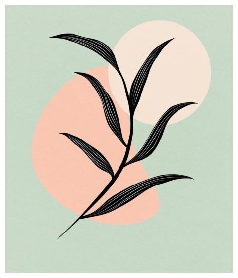 Boho Background Bohemian Leaves