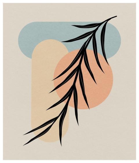 Boho Background Nature Bohemian