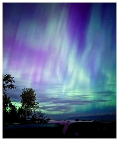 Trees Silhouette Northern Lights Aurora