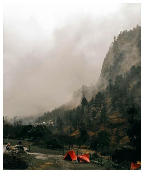 Hiking Forest Nature Mountains