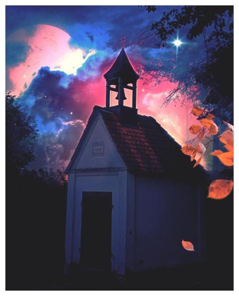 Night Sky Stars Leaves