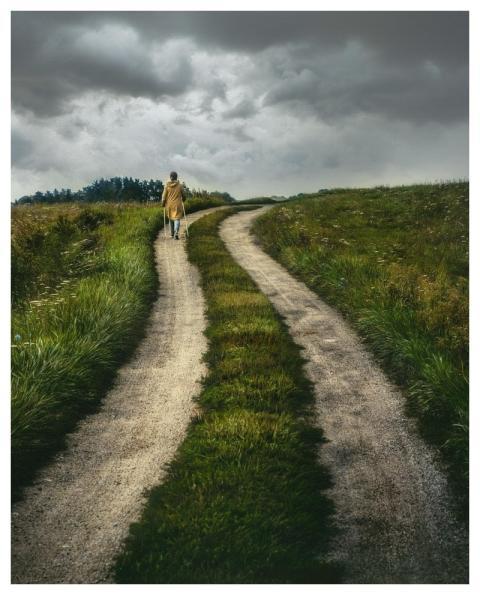 Path Rural Nature Road