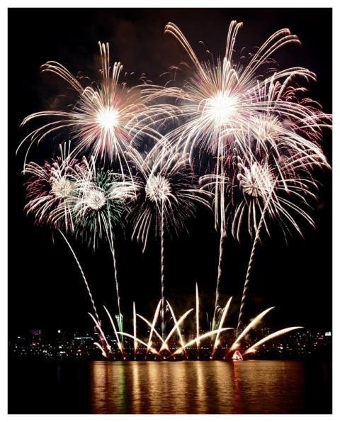 Fireworks Pyrotechnics Firecracker Flame