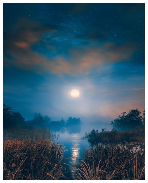 River Fog Night Lake