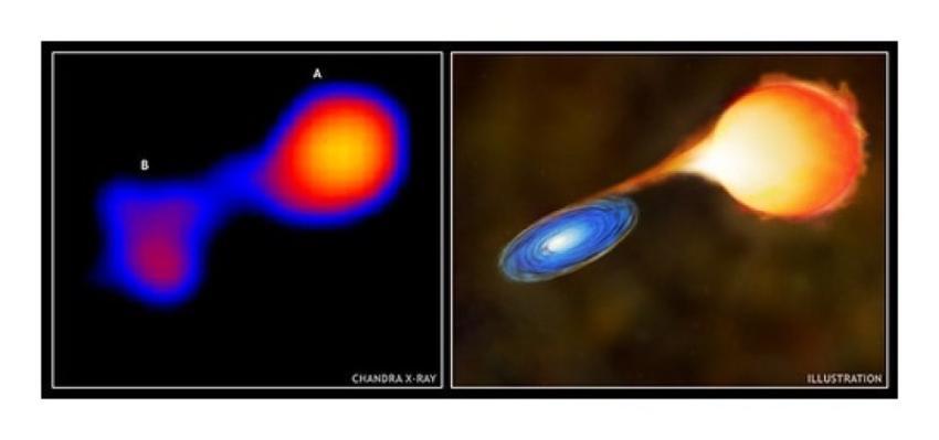 Mira: Red Giant and White Dwarf Reveal Hot Natures