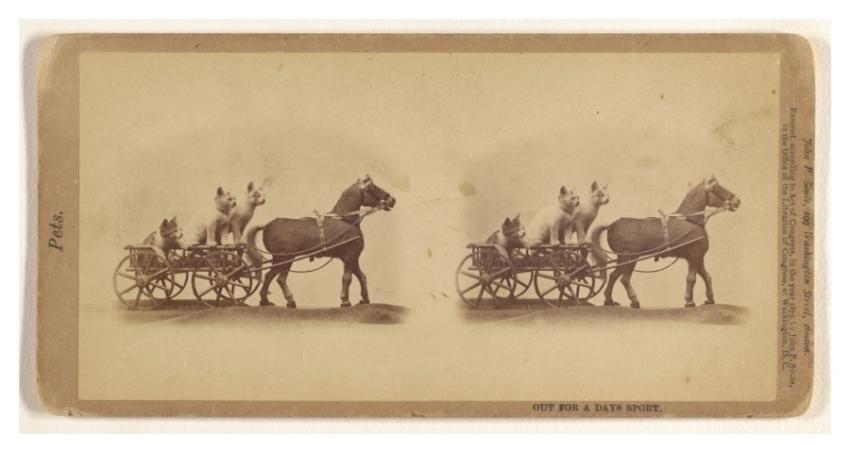 Days Sport. John P Soule