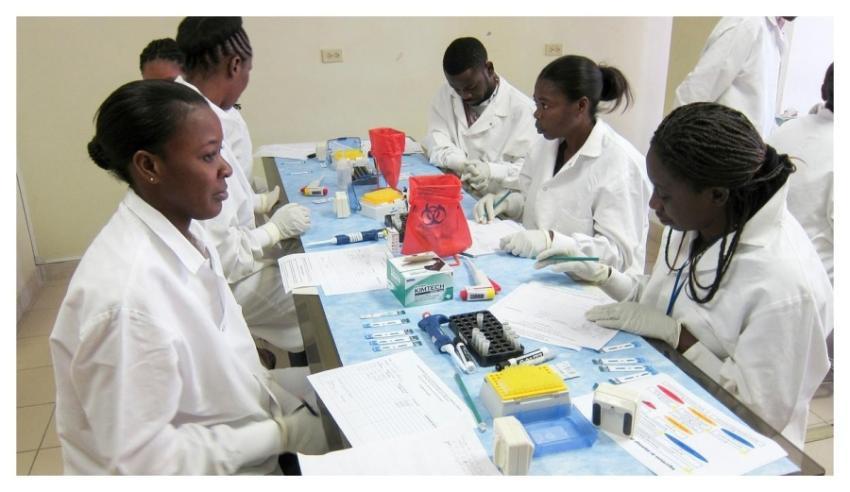 Laboratory technicians working together. Original