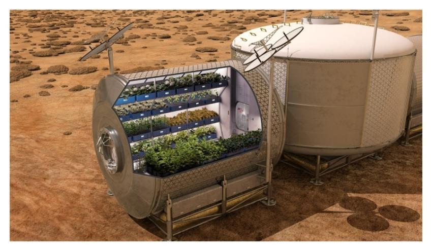 Growing food on future spacecraft