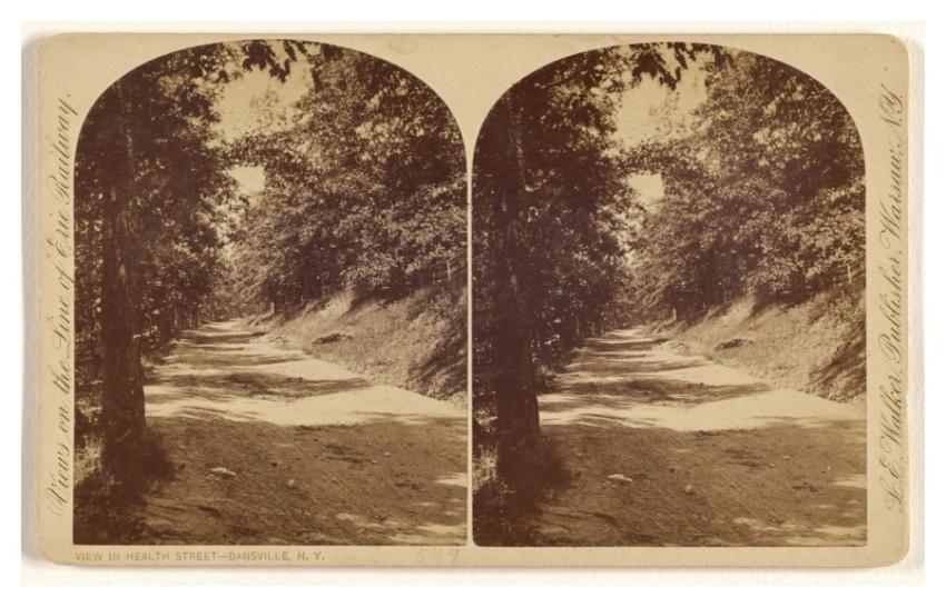 View Health Street - Dansville