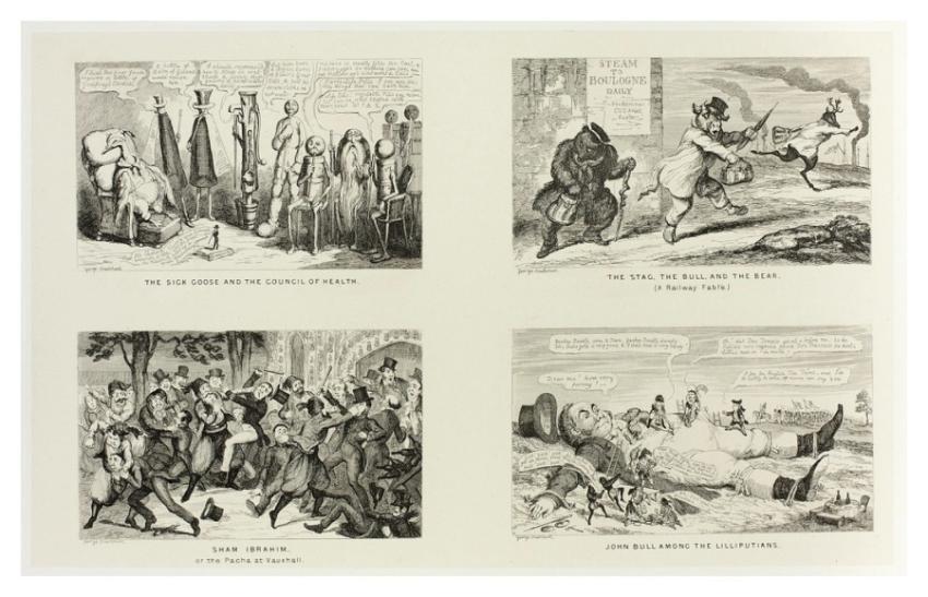 Sick Goose Council Health George