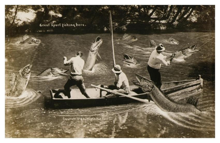 Great Sport Fishing Here