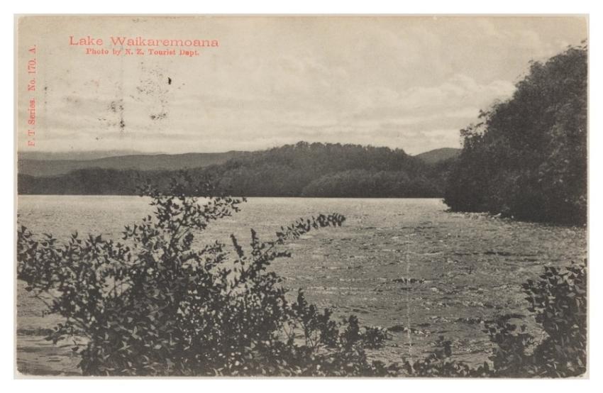 Lake Waikaremoana Department Tourist Health