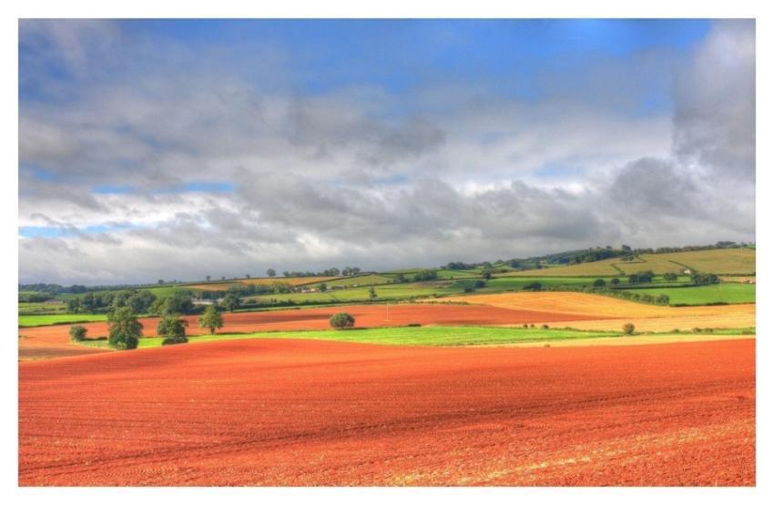 Sunlit fields, countryside sport area