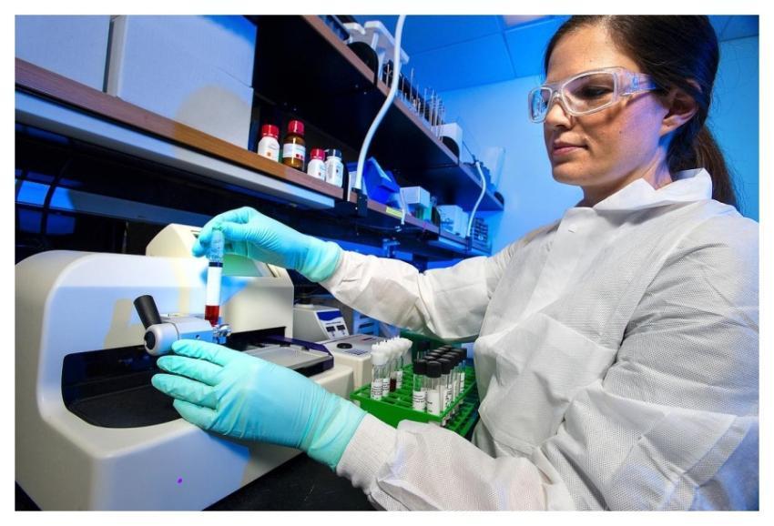 A scientist testing bacterial samples for their an