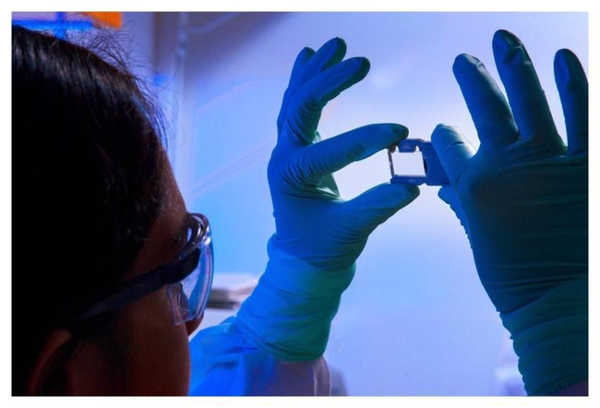 A scientist holding up a glass slide used for a ru