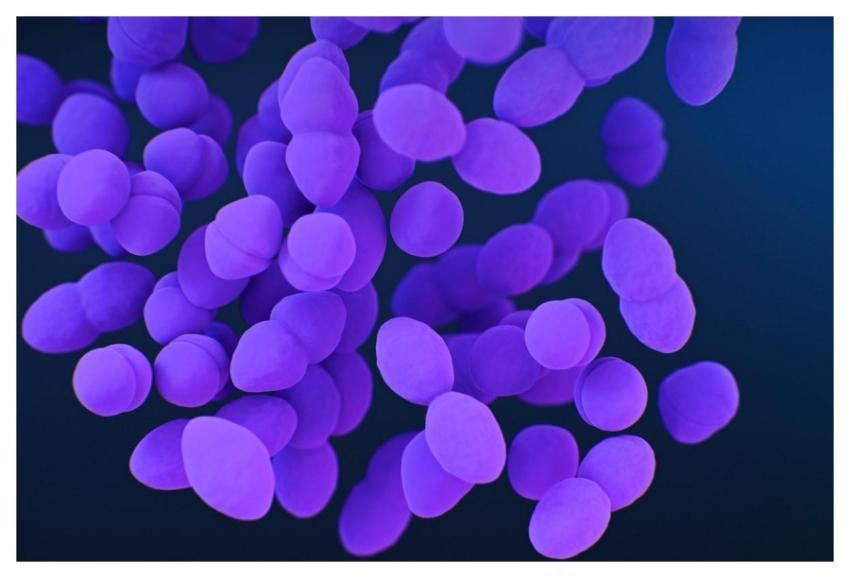 A medical illustration of vancomycin&ndash;resista