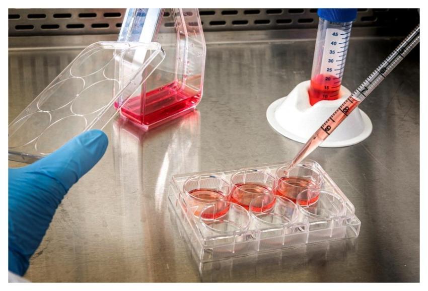 Test Tubes from experimenting on coronavirus. Orig