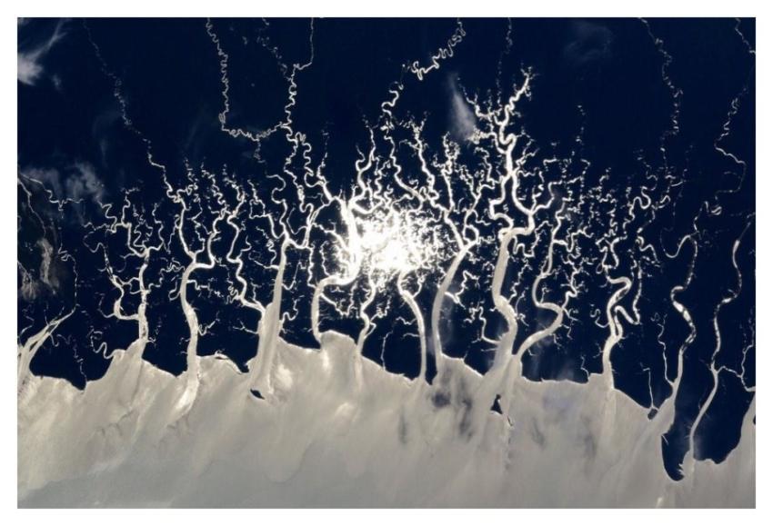 Earth Art (New Guinea Rainforest from the ISS)